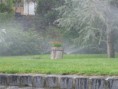 /album/kedvenc-kertek/a2012febr14-116-jpg/